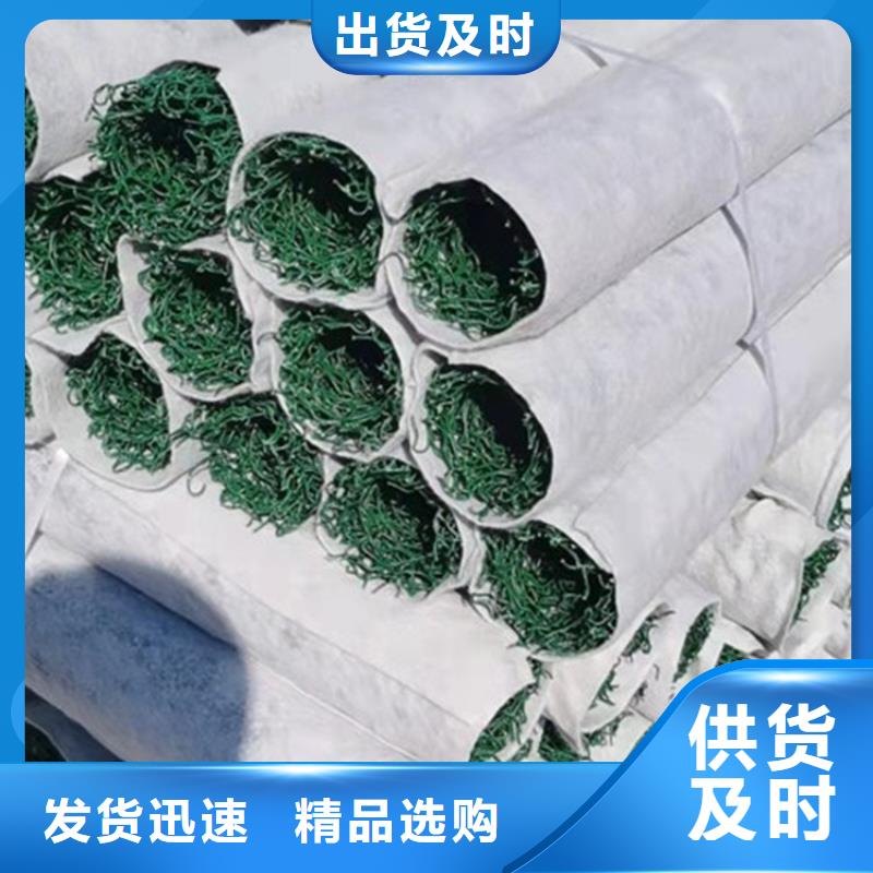 土工格室视频-西宁|海南|海西|果洛|海北土工格室质检严格-鼎诺土工材料(青海省分公司)