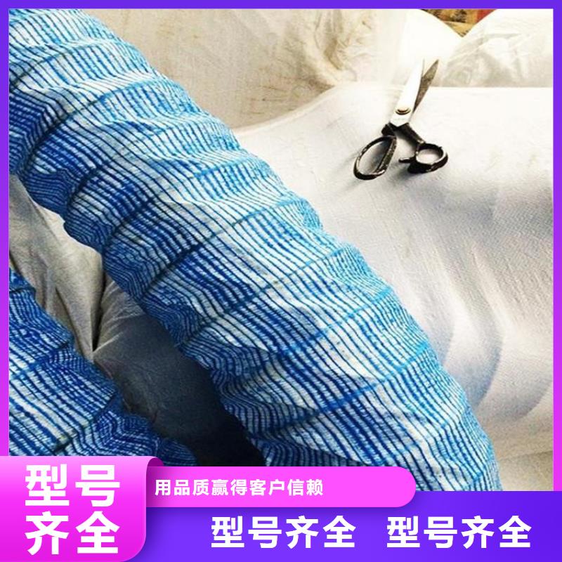 软式透水管植草格讲信誉保质量