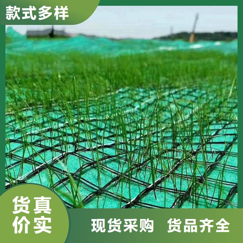 椰丝毯_土工膜真实拍摄品质可靠