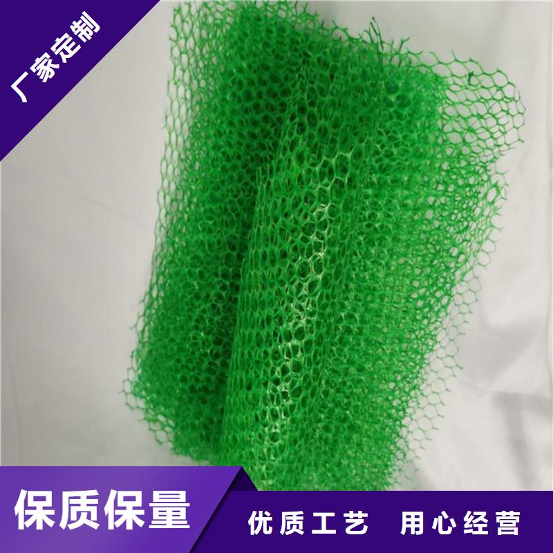三维植被网止水条工厂现货供应