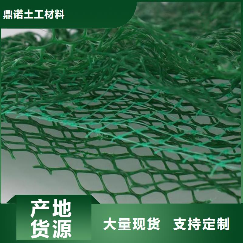 三维植被网止水条工厂现货供应