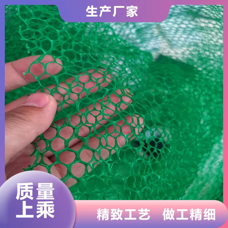 三维植被网止水条工厂现货供应