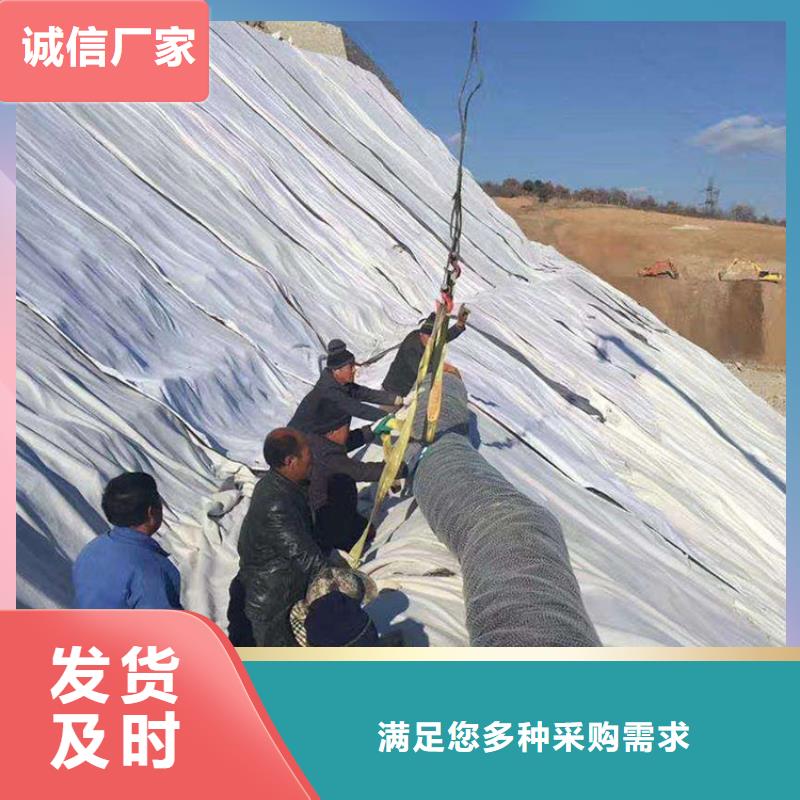 膨润土防水毯_【矿用格栅】品质信得过-鼎诺土工材料(延安市分公司)