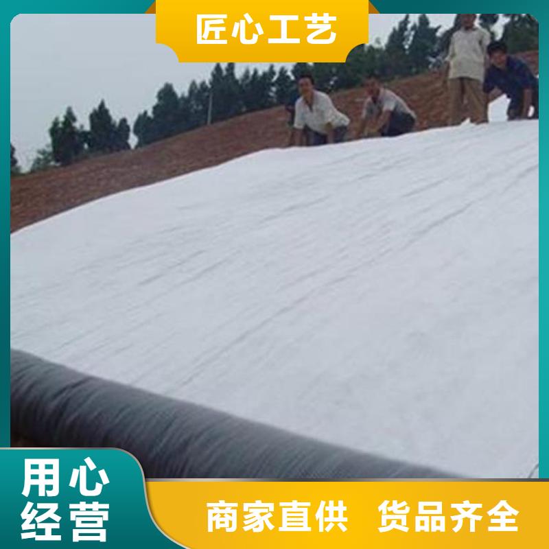 土工格室视频-土工格室-鼎诺土工材料(辽阳市分公司)服务区域太子河|灯塔|锦州|鞍山|大连|葫芦岛|盘锦|抚顺|铁岭