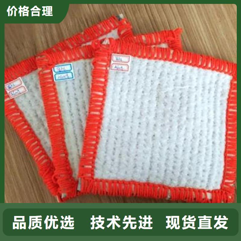 膨润土防水毯塑料盲沟海量现货
