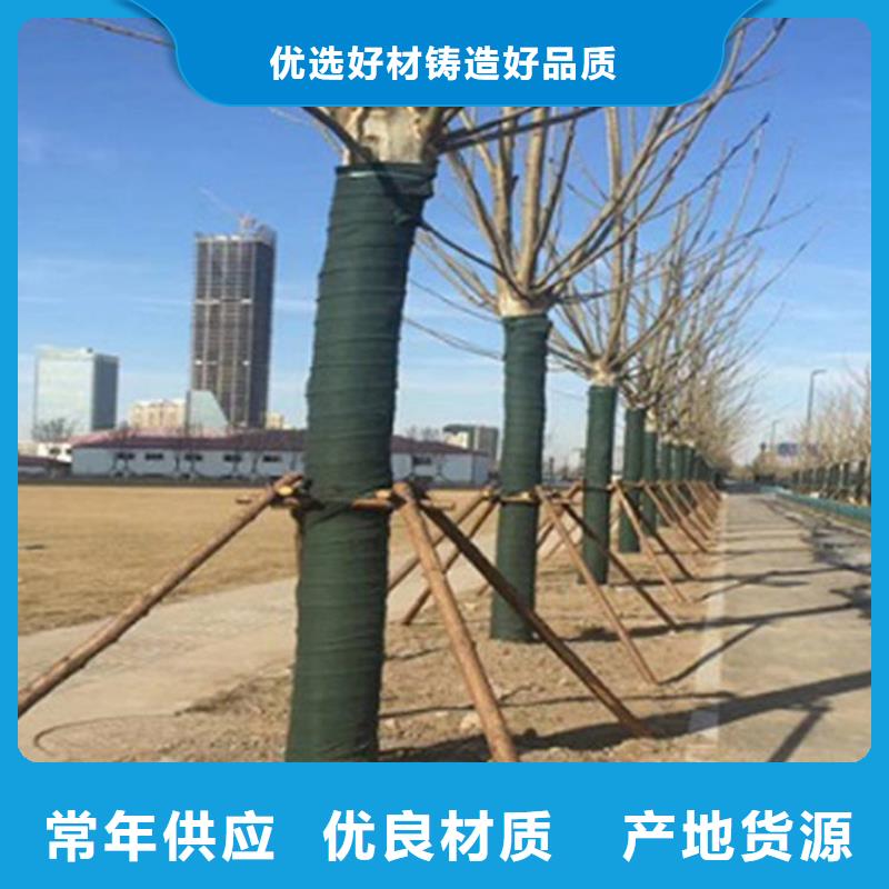 裹树布土工格室工厂自营