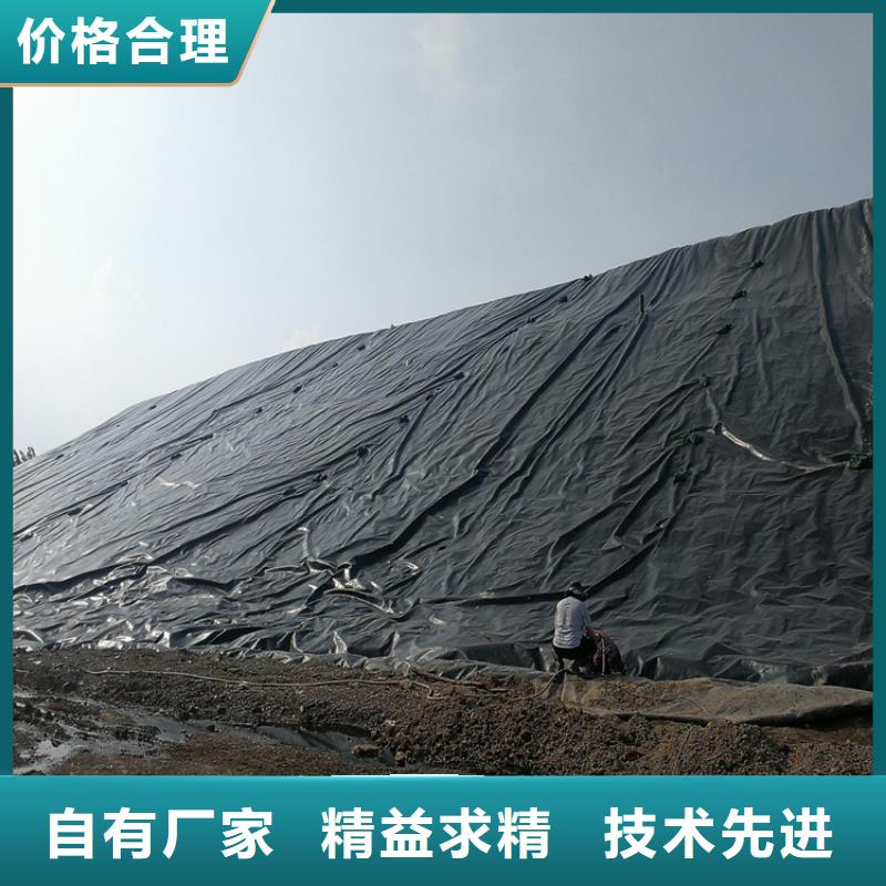 土工格室视频-土工格室_黑龙江省黑河市市场覆盖逊克|北安|大庆|哈尔滨|绥化|佳木斯等