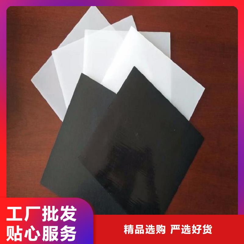 土工格室视频-土工格室_黑龙江省黑河市市场覆盖逊克|北安|大庆|哈尔滨|绥化|佳木斯等