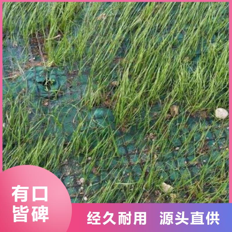 土工格室视频-土工格室|贵州省黔东南市|从江|丹寨|遵义|贵阳|黔南|毕节