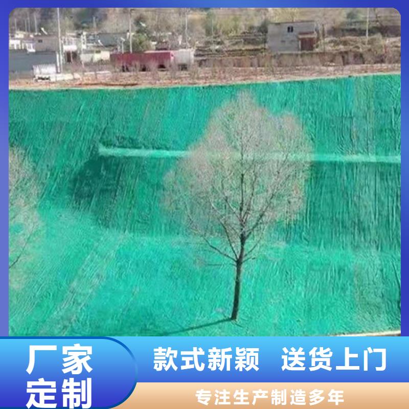 土工格室视频-土工格室|贵州省黔东南市|从江|丹寨|遵义|贵阳|黔南|毕节
