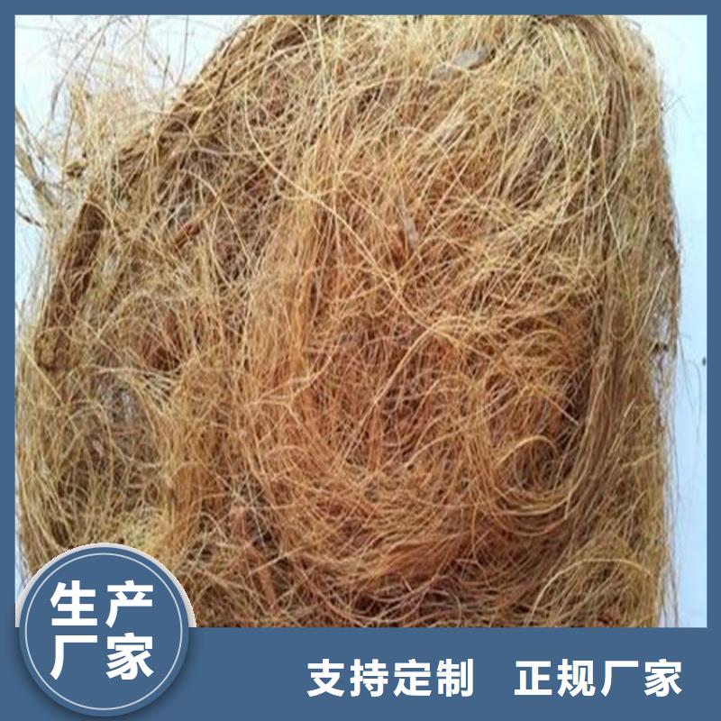土工格室视频-宁波|台州|湖州|温州|嘉兴|杭州|舟山中齐土工格室_ 中齐建材(浙江省分公司)