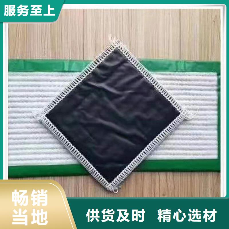 土工格室视频-土工格室-浙江省宁波市镇海|象山|台州|杭州|丽水|舟山|温州(本土)厂家