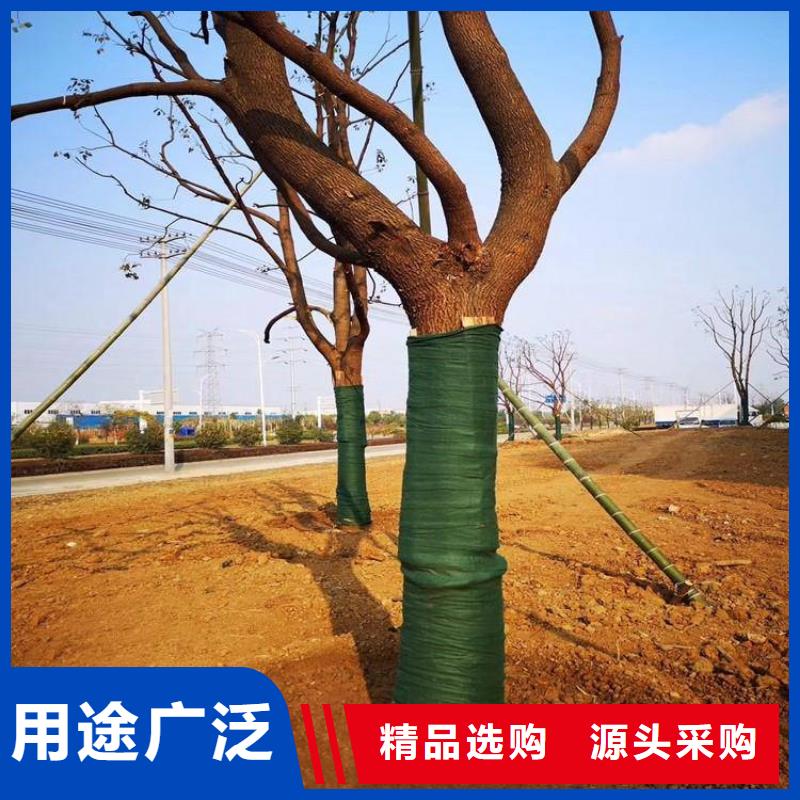 土工格室视频-肇庆市土工格室-【本土】可服务区域四会|高要|珠海|佛山|潮州|河源|湛江|中山