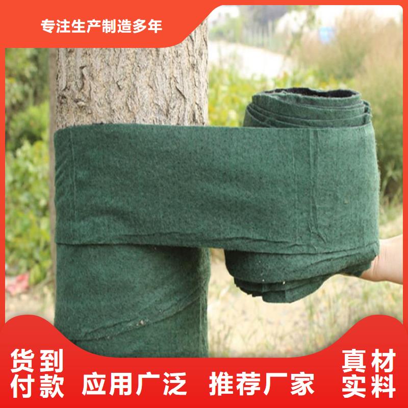 土工格室视频-肇庆市土工格室-【本土】可服务区域四会|高要|珠海|佛山|潮州|河源|湛江|中山
