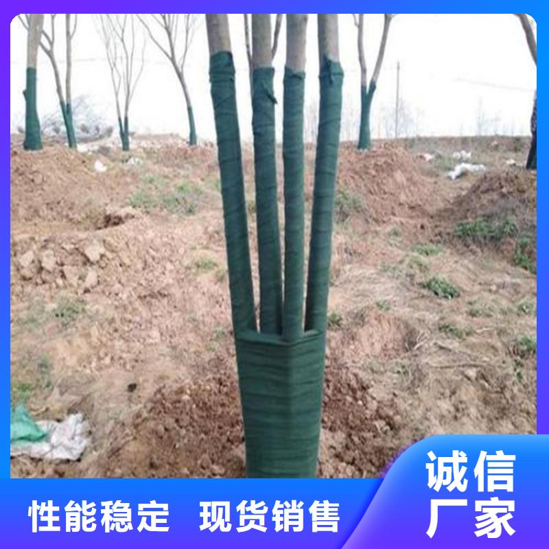 土工格室视频-肇庆市土工格室-【本土】可服务区域四会|高要|珠海|佛山|潮州|河源|湛江|中山
