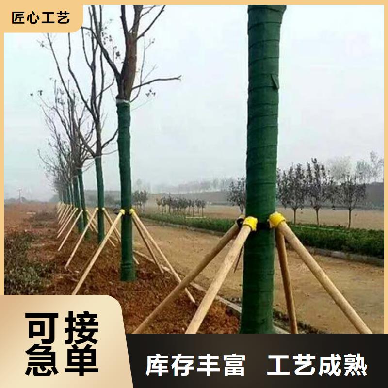 土工格室视频-肇庆市土工格室-【本土】可服务区域四会|高要|珠海|佛山|潮州|河源|湛江|中山