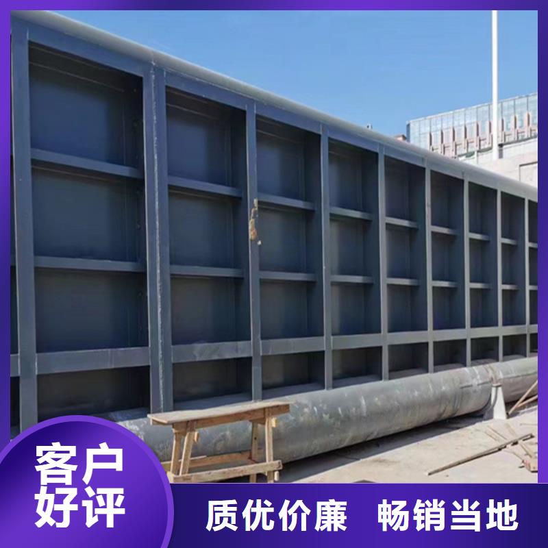  翻板闸门实力见证