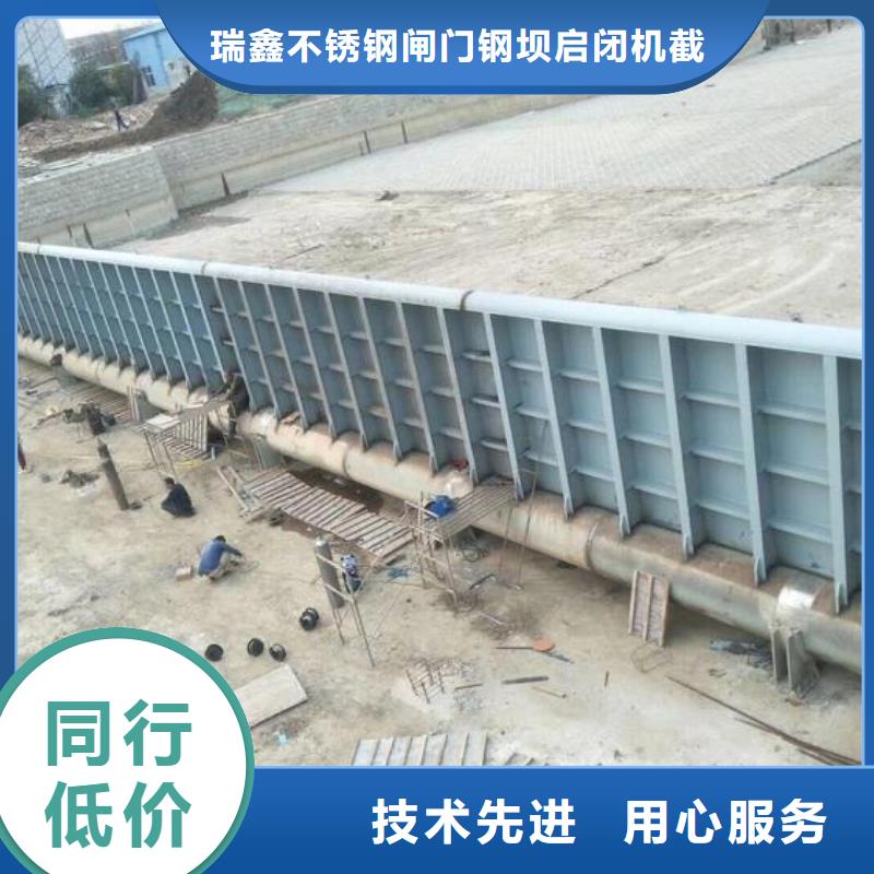  翻板闸门专业品质