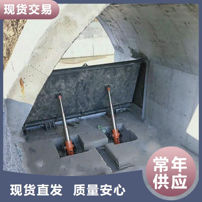 翻板闸门我们更专业