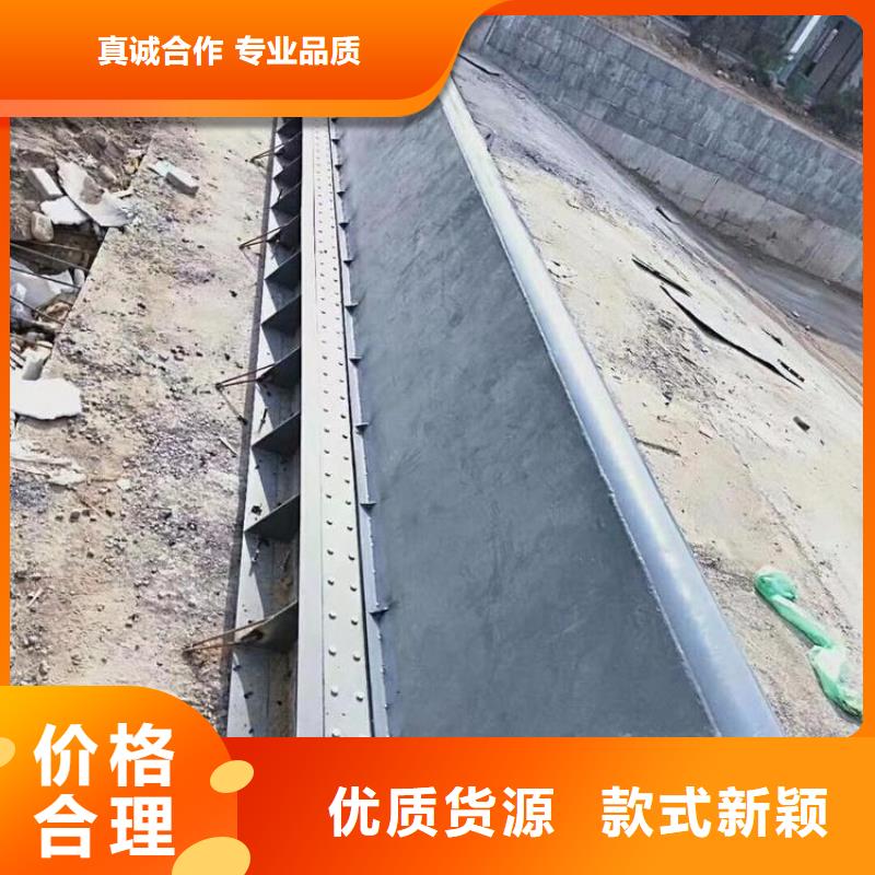  翻板闸门工厂直营