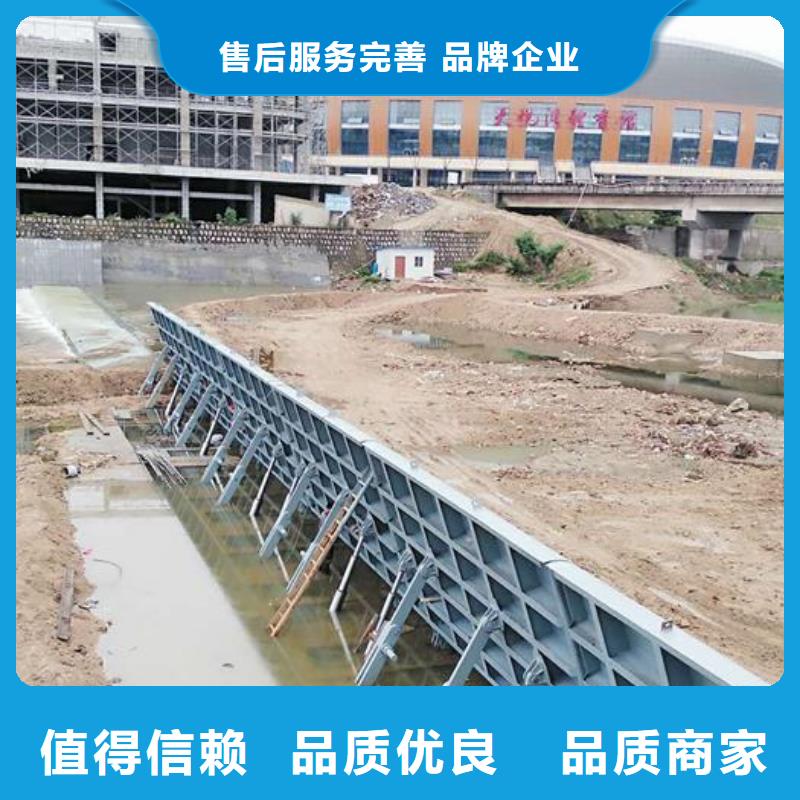  翻板闸门加工定制