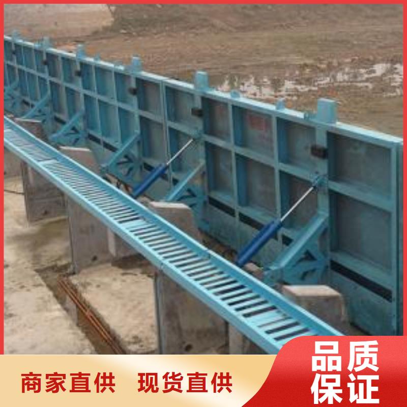 翻板闸门精工制作