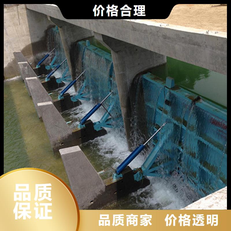翻板闸门实力见证