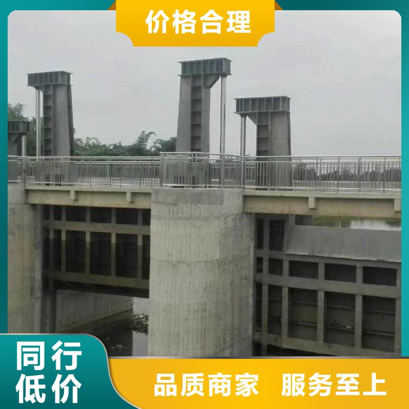 翻板闸门实力优品