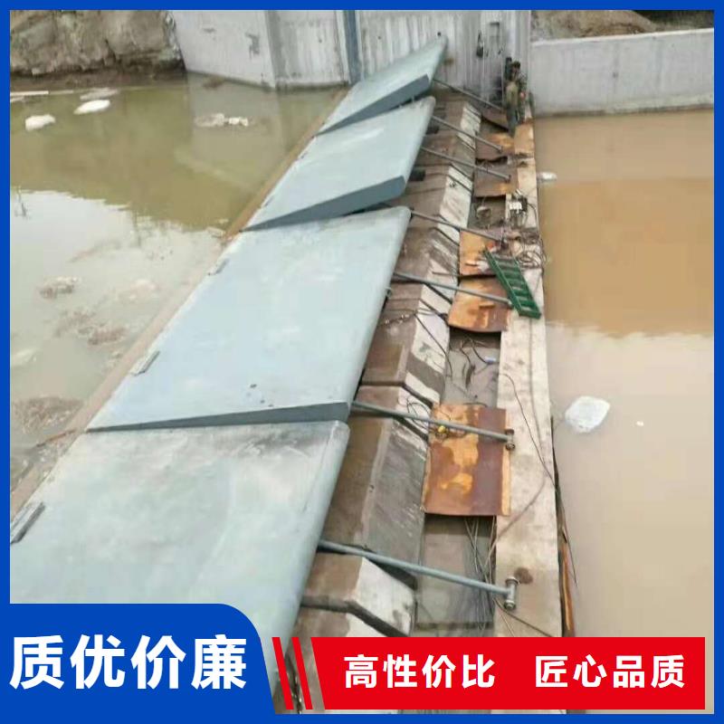  翻板闸门专业厂家