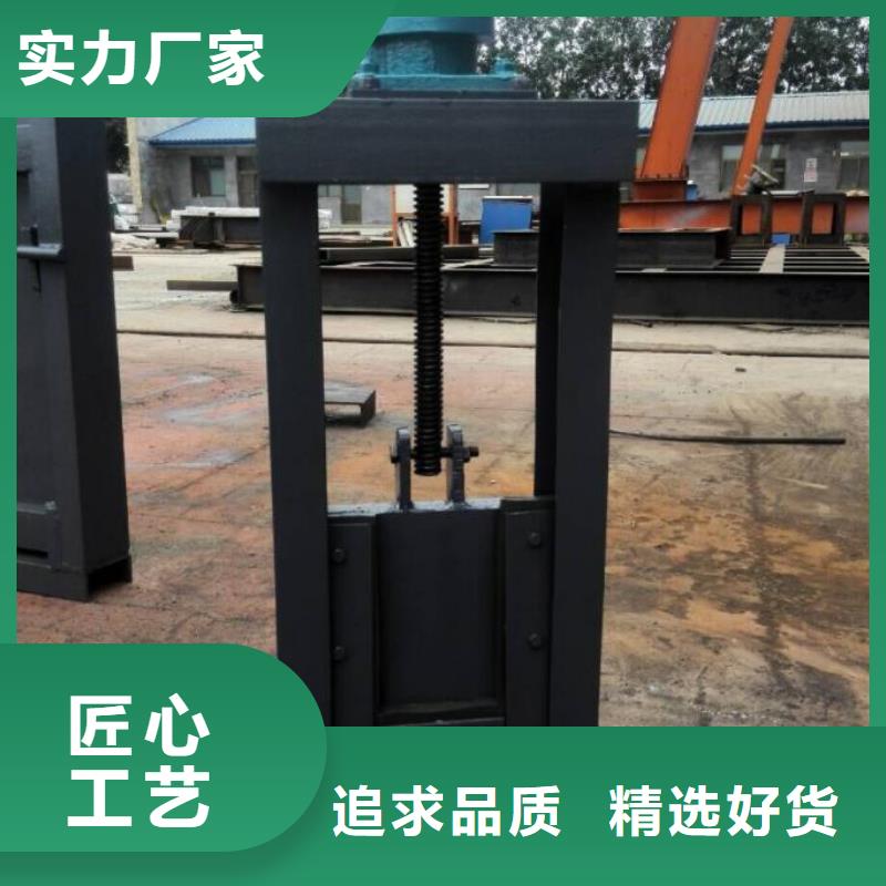 截流井闸门可定制