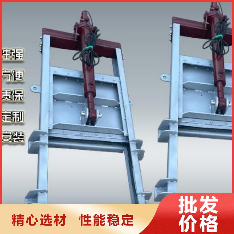  截流井闸门主推产品