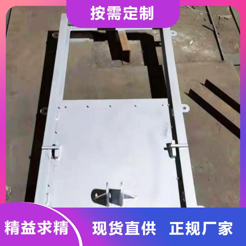  截流井闸门型号齐全
