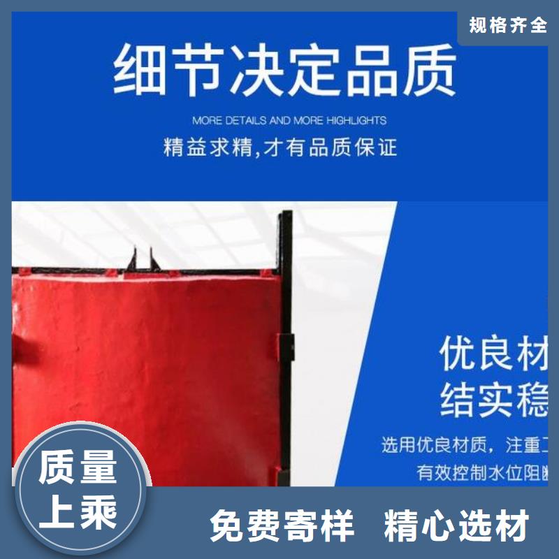  截流井闸门主推产品