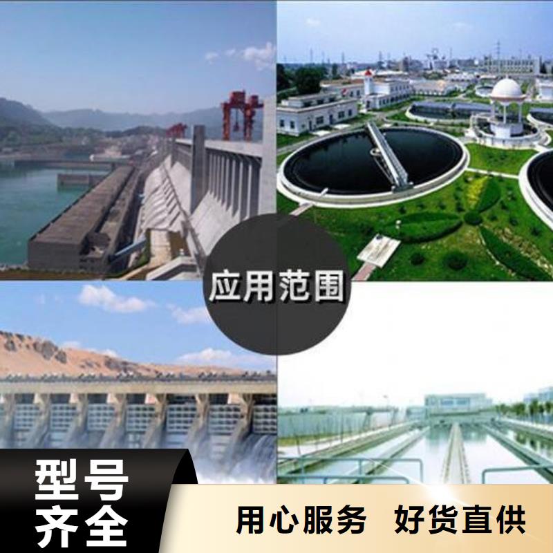  截流井闸门打造行业品质