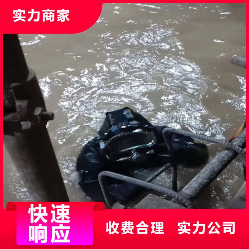 重庆市荣昌区鱼塘打捞貔貅打捞救援服务