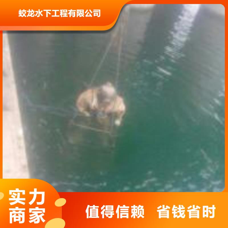 蛙人打捞队价格资讯