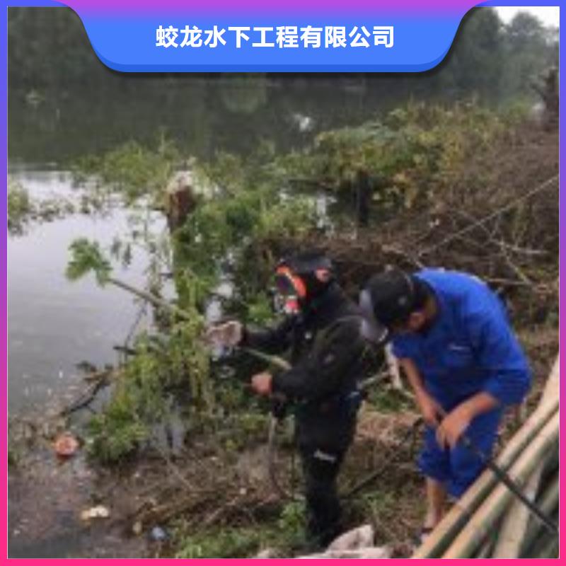 蛙人打捞队价格资讯