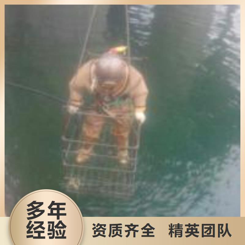 蛙人服务公司产品参数