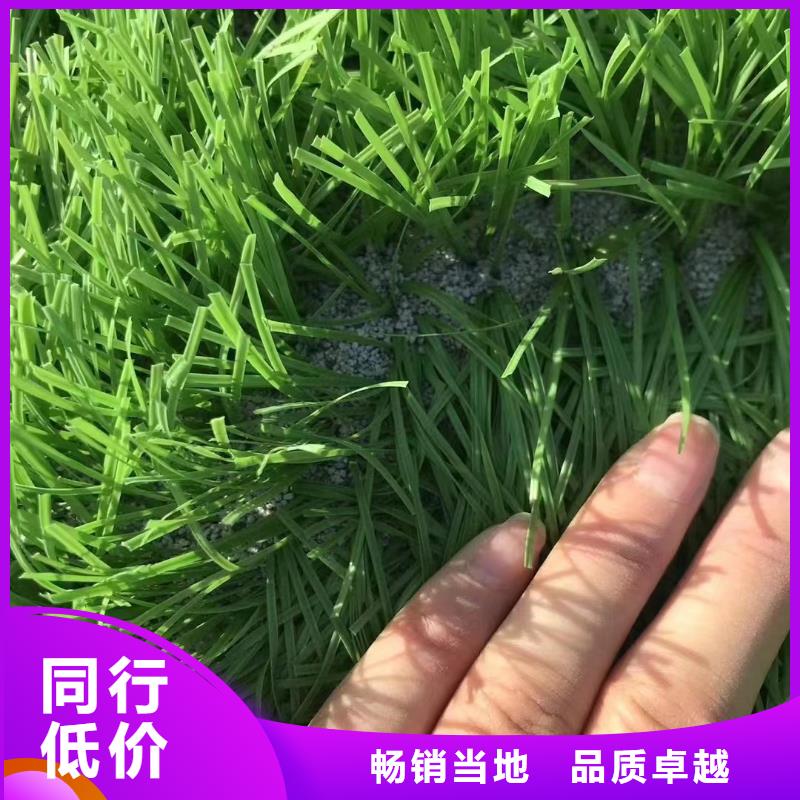 食品级硅藻土视频-福建省厦门市开碧源食品级硅藻土可服务区域海沧|翔安|漳州|泉州|龙岩|三明|南平|莆田等