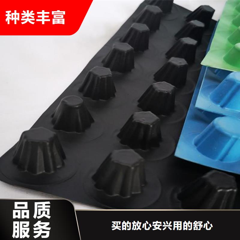 【塑料排水板】,防护虹吸排水收集系统诚信可靠