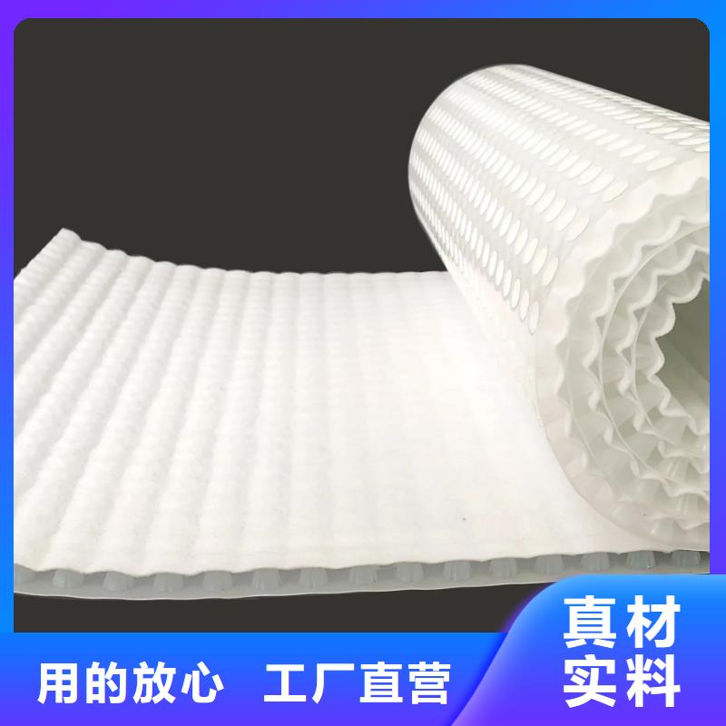 【塑料排水板】,防护虹吸排水收集系统诚信可靠