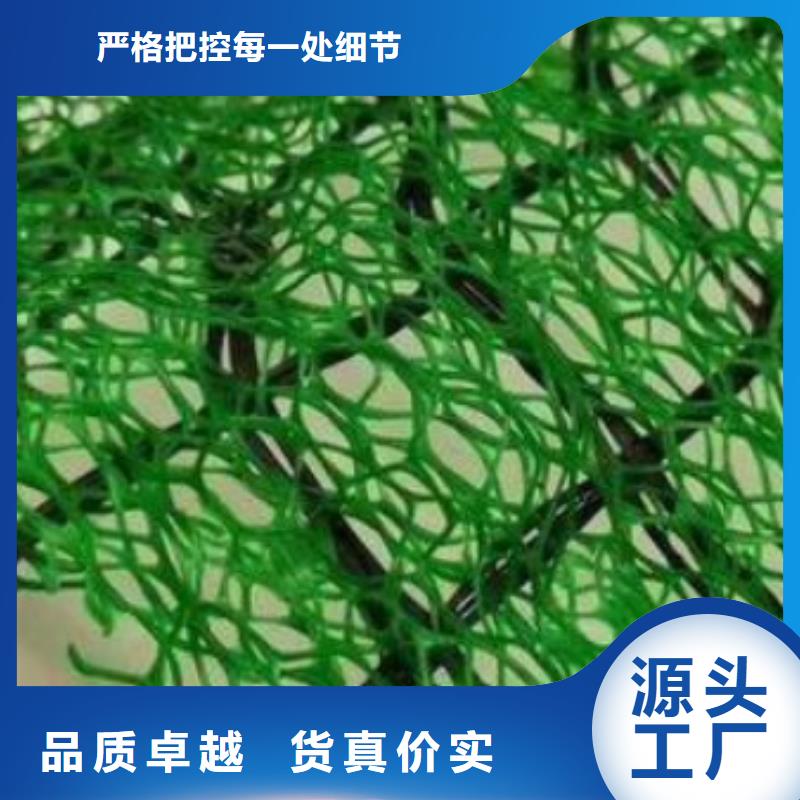 三维植被网_化粪池水泥品质保障售后无忧