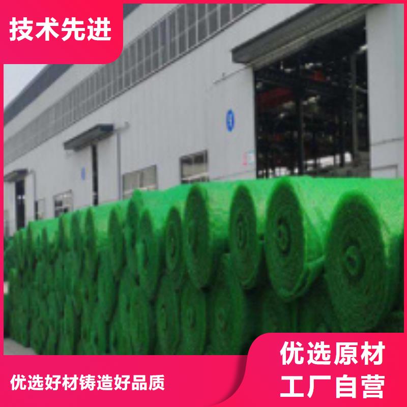 三维植被网_化粪池水泥品质保障售后无忧