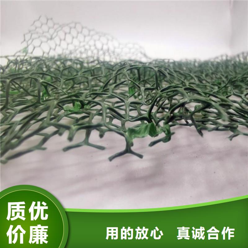 三维植被网-【水泥化粪池】物流配货上门由朋联为您