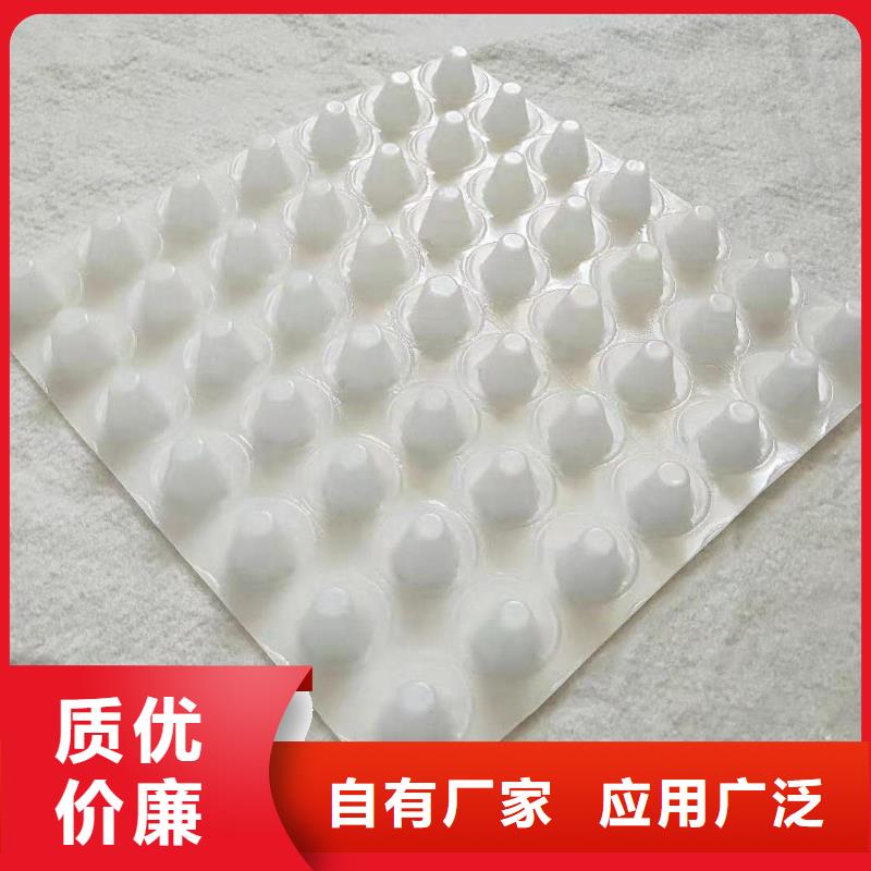 防水毯视频-防水毯_广东省肇庆市市场覆盖封开|鼎湖|汕尾|汕头|东莞|揭阳|惠州|湛江|中山等