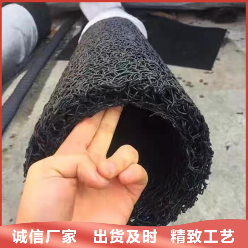 塑料盲沟三维植被网一手货源源头厂家