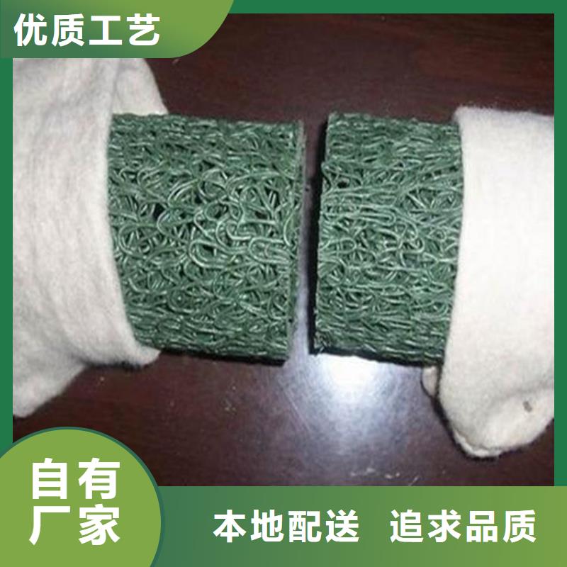 塑料盲沟三维植被网一手货源源头厂家
