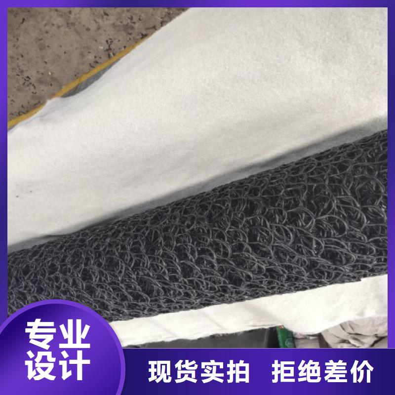 塑料盲沟三维植被网一手货源源头厂家