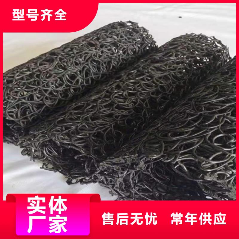 塑料盲沟三维植被网一手货源源头厂家