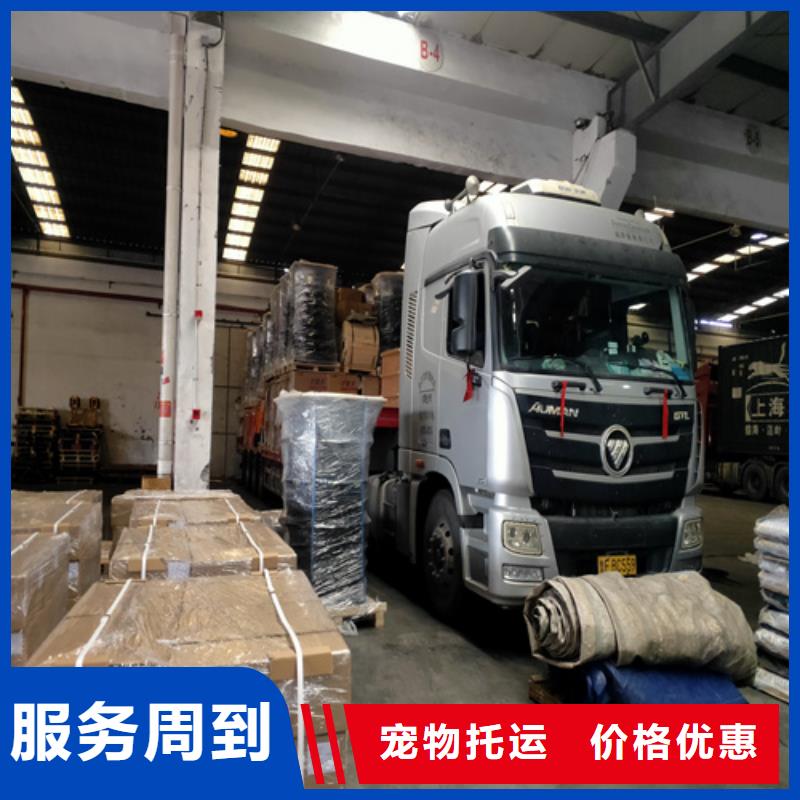 上海到华尔网物流专线直达视频-上海到华尔网物流专线直达|鹤壁市|山城|淇县|郑州|开封|焦作|许昌|新乡
